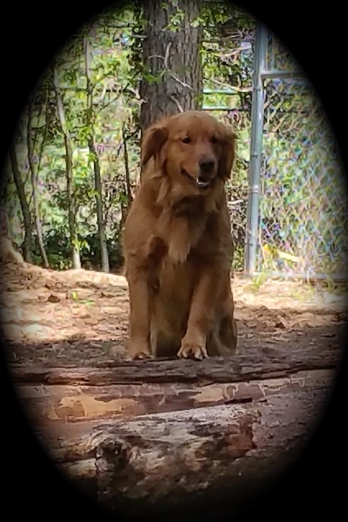 20180409_140017 copy