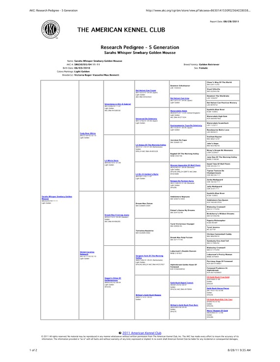 AKC Whisper Pedigree