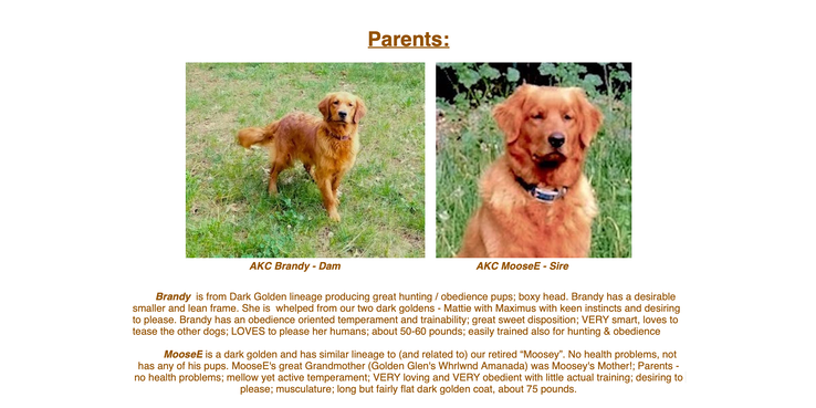 bm25 mom&dad
